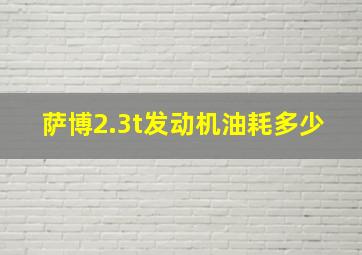 萨博2.3t发动机油耗多少