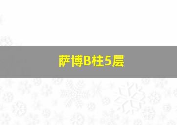 萨博B柱5层