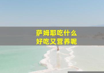 萨姆耶吃什么好吃又营养呢