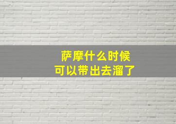 萨摩什么时候可以带出去溜了