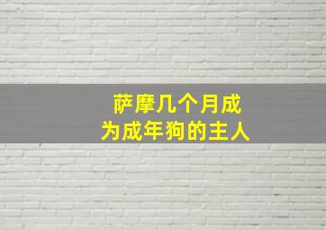 萨摩几个月成为成年狗的主人