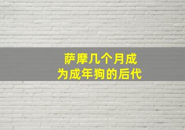 萨摩几个月成为成年狗的后代