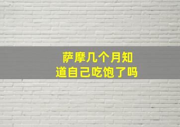 萨摩几个月知道自己吃饱了吗