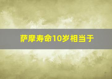 萨摩寿命10岁相当于