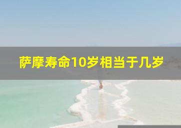 萨摩寿命10岁相当于几岁