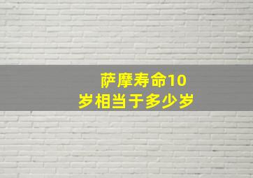 萨摩寿命10岁相当于多少岁