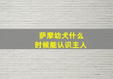 萨摩幼犬什么时候能认识主人