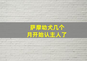 萨摩幼犬几个月开始认主人了