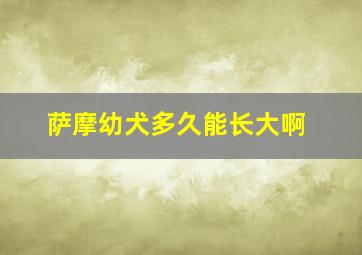 萨摩幼犬多久能长大啊