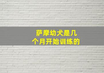 萨摩幼犬是几个月开始训练的