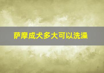 萨摩成犬多大可以洗澡