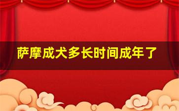 萨摩成犬多长时间成年了