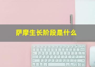 萨摩生长阶段是什么