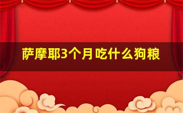 萨摩耶3个月吃什么狗粮