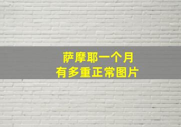 萨摩耶一个月有多重正常图片