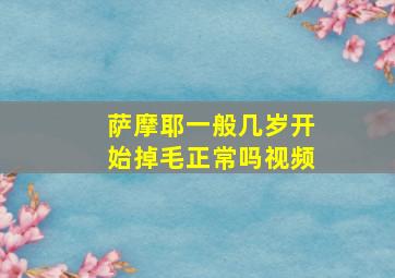 萨摩耶一般几岁开始掉毛正常吗视频