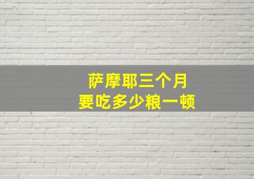 萨摩耶三个月要吃多少粮一顿