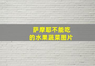 萨摩耶不能吃的水果蔬菜图片