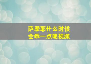 萨摩耶什么时候会乖一点呢视频