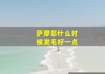 萨摩耶什么时候发毛好一点