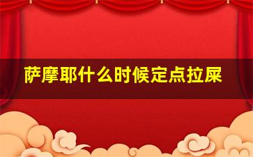 萨摩耶什么时候定点拉屎