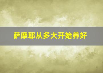 萨摩耶从多大开始养好