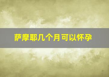 萨摩耶几个月可以怀孕