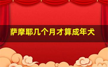 萨摩耶几个月才算成年犬