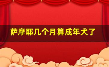 萨摩耶几个月算成年犬了