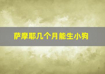 萨摩耶几个月能生小狗