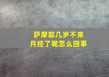 萨摩耶几岁不来月经了呢怎么回事