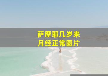 萨摩耶几岁来月经正常图片