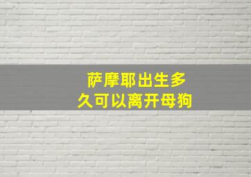 萨摩耶出生多久可以离开母狗