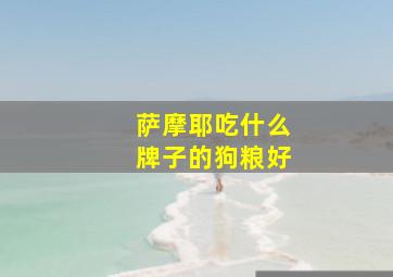 萨摩耶吃什么牌子的狗粮好