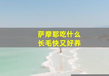 萨摩耶吃什么长毛快又好养