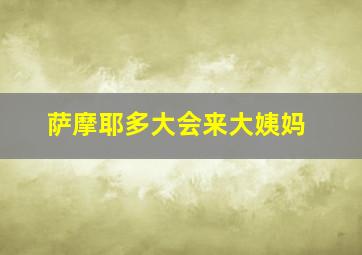 萨摩耶多大会来大姨妈