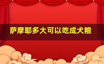 萨摩耶多大可以吃成犬粮