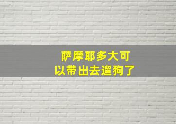 萨摩耶多大可以带出去遛狗了