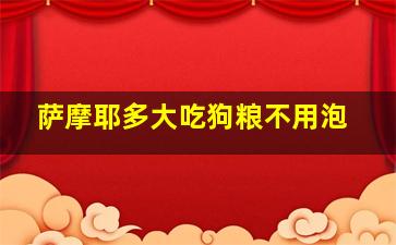 萨摩耶多大吃狗粮不用泡