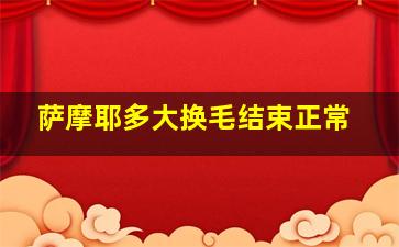 萨摩耶多大换毛结束正常