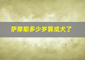 萨摩耶多少岁算成犬了