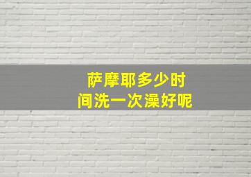 萨摩耶多少时间洗一次澡好呢