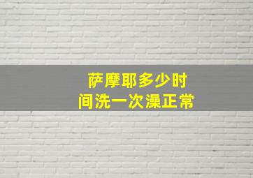 萨摩耶多少时间洗一次澡正常