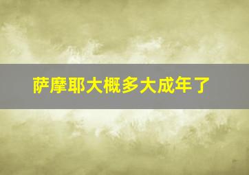 萨摩耶大概多大成年了