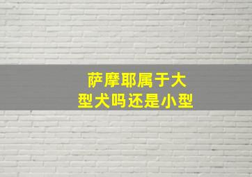 萨摩耶属于大型犬吗还是小型