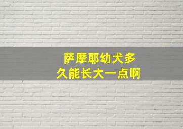 萨摩耶幼犬多久能长大一点啊