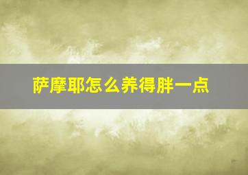 萨摩耶怎么养得胖一点