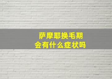 萨摩耶换毛期会有什么症状吗