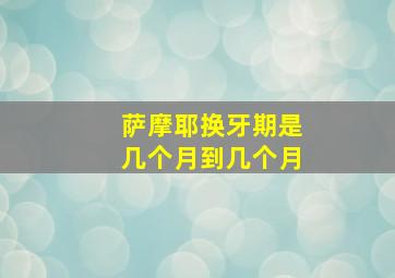 萨摩耶换牙期是几个月到几个月