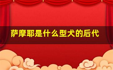 萨摩耶是什么型犬的后代